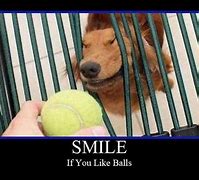 Image result for Funny Things to Laugh About