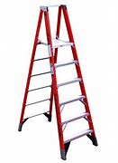 Image result for 16 Foot Ladder