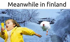 Image result for Finland Bear Meme