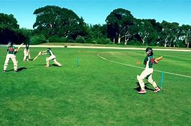 Image result for Cricket Peachers