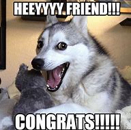 Image result for Congrats Animal Meme