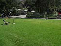 Image result for Backyard Volleyball