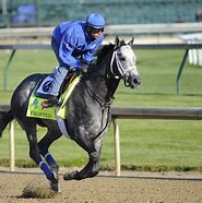 Image result for Belmont Stakes Contenders