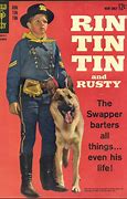 Image result for Tin Tin Tokyo Vice