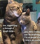 Image result for Encouraging Cat Meme