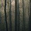 Image result for Foggy Day Wallpaper iPhone