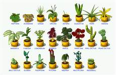 Any One Have A Picture Guide To The Plants Last Day Of