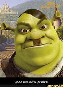 Image result for shrek memes