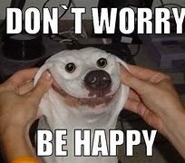 Image result for I Just Want to Be Happy Meme