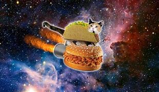 Image result for Funny Cat Background 1920X1080 Galaxy