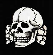 Image result for totenkopf