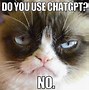 Image result for Fool Chatgpt Meme