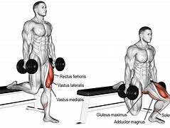 Image result for Lunge Alternative Exercise