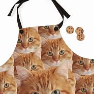 Image result for Cat Wearing Apron