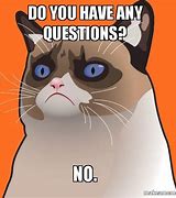 Image result for Grumpy Cat Stop Meme