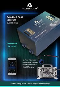 Image result for 36V Lithium Battery Pack
