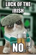 Image result for Irish Cat Meme