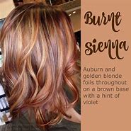 Image result for Sienna Brown Hair Color