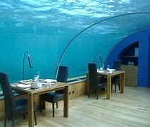 Image result for Maldives Diner