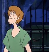 Image result for Confused Shaggy Meme