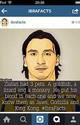 Image result for Zlatan LA Galaxy Memes