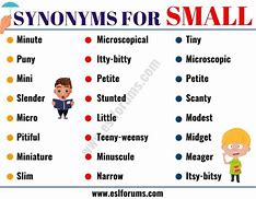 Image result for Another Word for Little