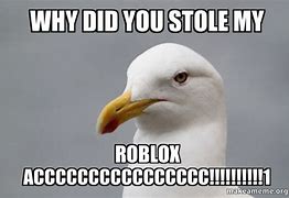 Image result for You Stole My Answer Meme