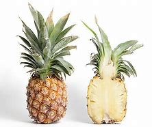 Image result for Pineapple Phone 69 Cameras