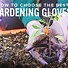 Image result for Trendy Gardening Gloves