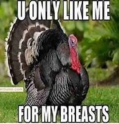 Image result for Happy Thanksgiving Memes Images