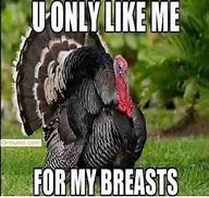 Image result for Happy Thanksgiving Everyone Funny