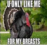 Image result for Thankful Thanksgiving Meme