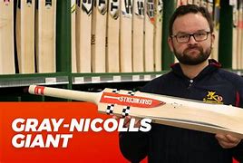 Image result for Gray Nicole's Cricket