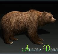 Image result for Aurora's Design