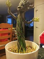 Image result for Grown Up Groot