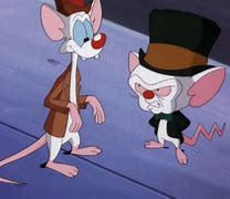 Image result for Pinky and the Brain Train