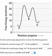 Image result for Reaction Energy Diagram Question