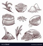 Image result for Japanese Rice Grain Vector