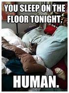 Image result for Funny Memes That Will Make You LOL