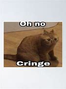 Image result for OH No Cringe Cat Meme