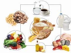 Image result for Food Based Dietary Guidelines