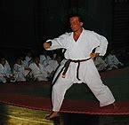 Image result for Japanese Martial Arts Karate