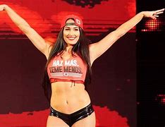 Image result for WWE Nikki Bella News