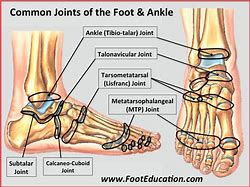 Image result for Joint Circumference Foot