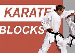 Image result for Newkarateinforomals Karate Styles