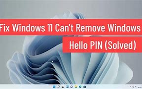 Image result for Cqnt Delete Pin Windows 1.0