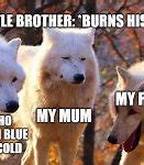 Image result for 3 Wolves Laughing Meme