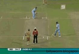 Image result for Cricket 6 GIF