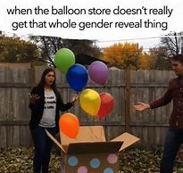 Image result for Gender Reveal Party Meme