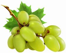 Image result for Green Grapes Bunch PNG